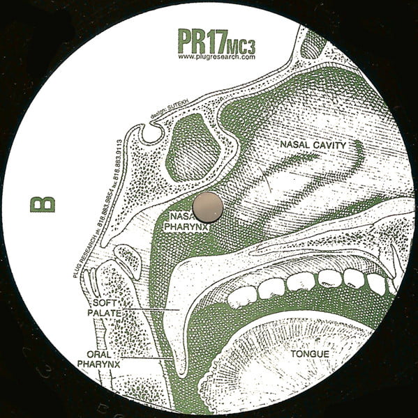 Various - Voices In My Lunchbox Volume 1 - Image 2